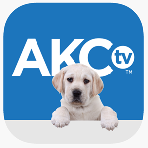 AKC TV